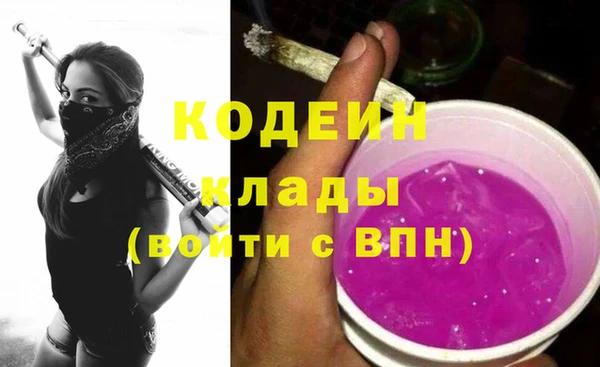 прущие грибы Верхний Тагил