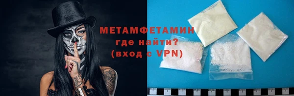 прущие грибы Верхний Тагил