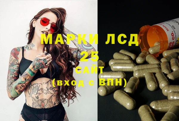 прущие грибы Верхний Тагил