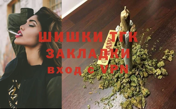 прущие грибы Верхний Тагил