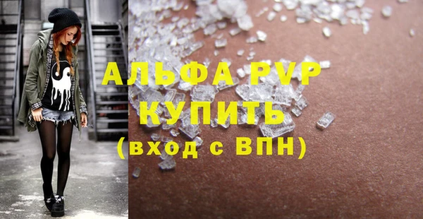 прущие грибы Верхний Тагил