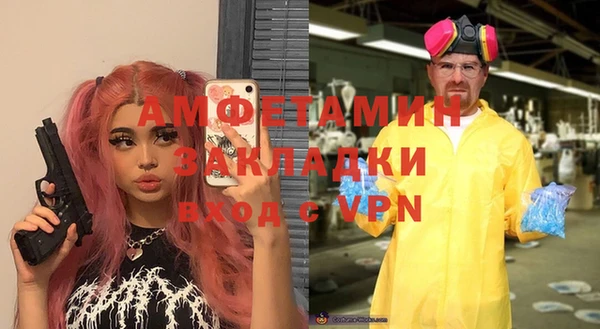 прущие грибы Верхний Тагил