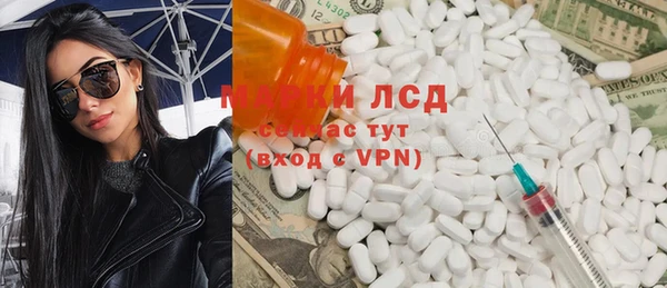 прущие грибы Верхний Тагил