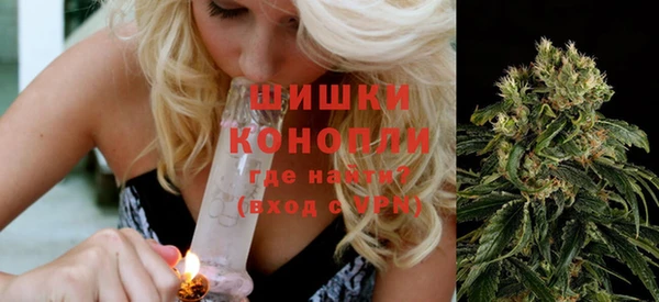 прущие грибы Верхний Тагил