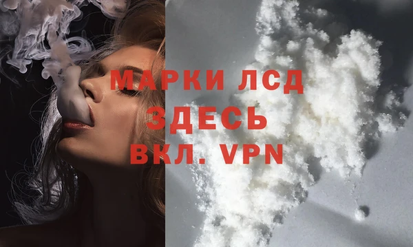 прущие грибы Верхний Тагил